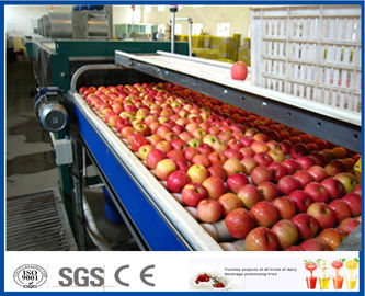 Fruit Juice Production Fruit And Vegetable Processing Device With SUS304 / SUS316 Steel