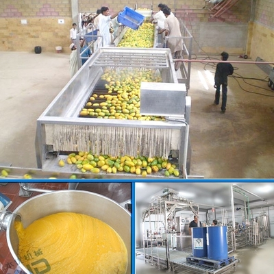 5 - 50T/H Fresh Mango Pulp Plant Automatic Separation Juice Processing