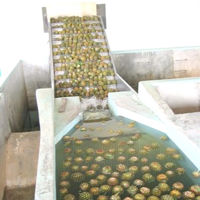 380V 50Hz Pineapple Processing Line For Concentrated Juice