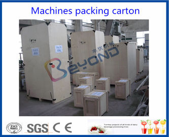 Automatic Double Stage Pulping Fruit Processing Equipment High Speed