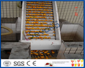 Energy Saving Orange Processing Line with Glass / PET Bottle Filling Machine