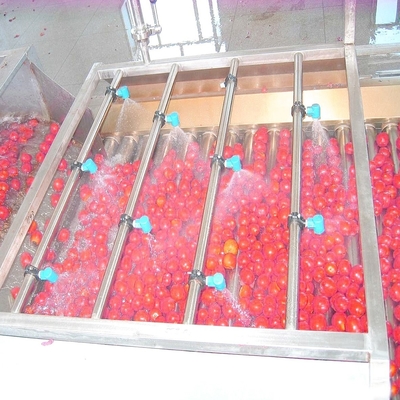 Automatic Concentrated Tomato Paste Production Line SUS304 380V 50Hz