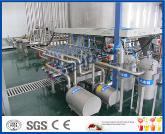 Automatic Pineapple Processing Line With Bottle Packing Machine ISO9001 / CE / SGS