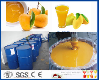 50T/H Mango Processing Unit Mango Processing Line With Drum Filling Machine