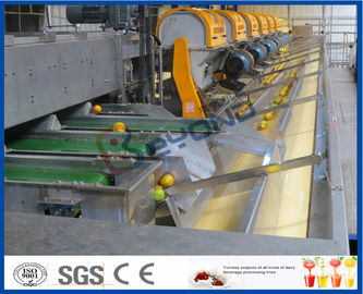 CE Citrus Processing Equipment , Orange Juice Plant With Fruit Processing Technology