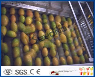 Pineapple Mango Processing Line , Fruit Juice Mango Pulp Processing Plant