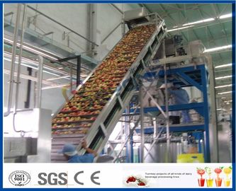 Peach / Apricot / Plum Fruit Juice Production Line Fruit Processing Machinery