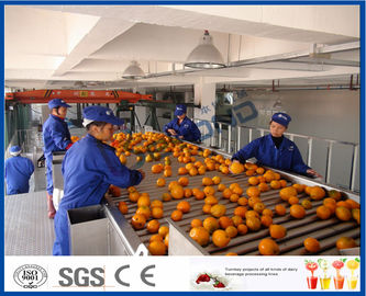 Fruit Juice Processing Equipment With Citrus / Tangerines / Orange Juice Extractor Machine