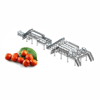 Industrial Pomegranate Juice Production Line 2 - 50T/H Pomegranate Juice Making Equipment