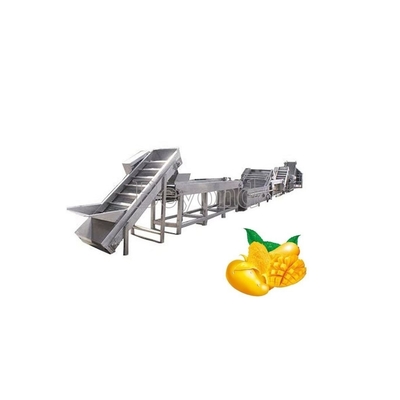 PLC Control Mango Processing Plant Mango Pulp Processing Machine 380V 50Hz