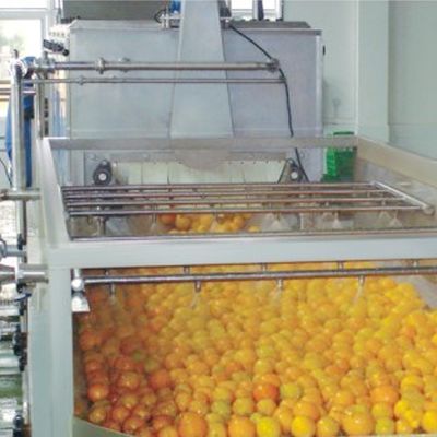 Industrial fruit washing machine high efficiency fruit and vegetable clapboard elevator