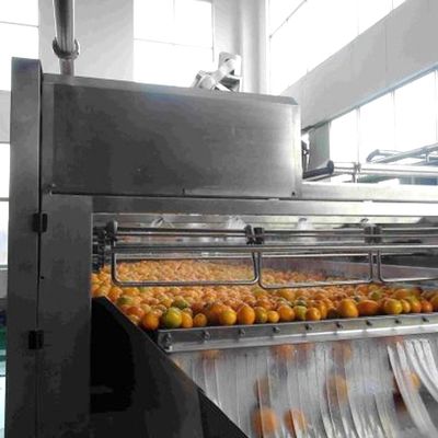 5t/H Adjustable Speed Fruit Vegetable Processing Equipment Washer
