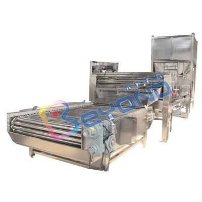 5t/H Adjustable Speed Fruit Vegetable Processing Equipment Washer