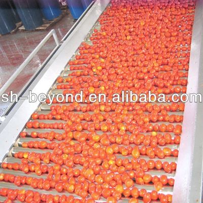 Fruit / Vegetable Processing Roller Sorting Machine Stainless Steel Roller Tube