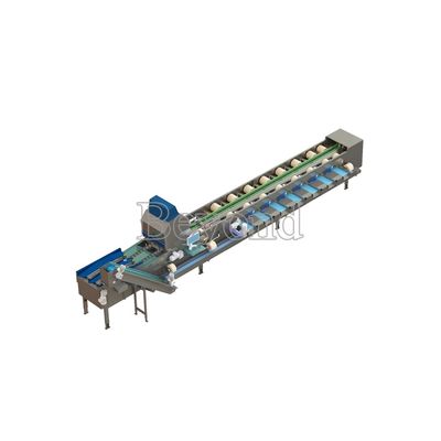 Lifting Apple Grading Fruit Processing Equipment For Classifying