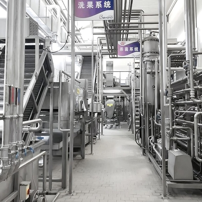 Automatic Jujube Processing Line 50T/H  Extraction And Beating
