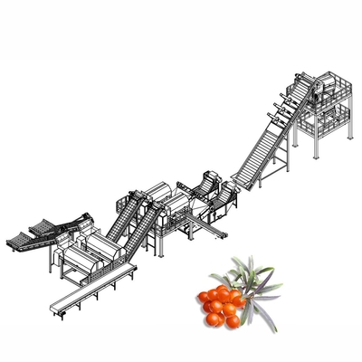 Juice Processing Machine Juice Manufacturing Plant For Seabuckthorn