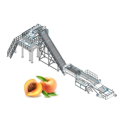 Ce Standard Peach Apricot Fruit Processing Equipment
