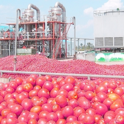 Stainless Steel Tomato Paste Processing Plant For Tomato Sauce Production Process