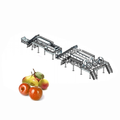 CE Apple Processing Line with Automatic Disinfection Liquid Concentration Control System