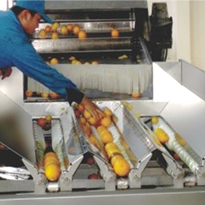 Stainless Steel Vegetables Fruit Processing Equipment With Spiral Conveyors