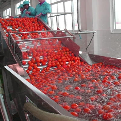 Air Bubble Type Tomato Washing Machine For Vegetable Fruit Processing