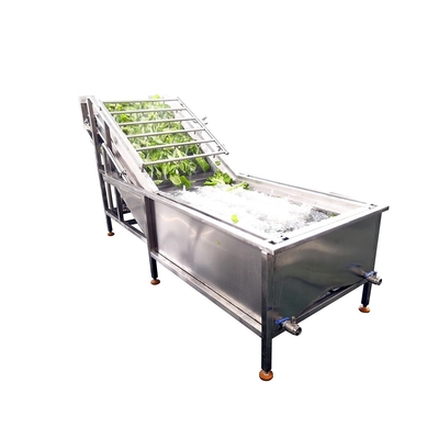 Air Bubble Type Tomato Washing Machine For Vegetable Fruit Processing