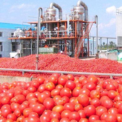 Film Deposition Multiple Effect Evaporator For Food Industry Processing