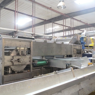 Stainless Steel Fruit Processing Equipment Industrial Fruit Sorter Machine 380V
