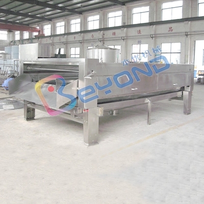 Tomato Vegetable Cleaning Machine Automatic Industrial Fruit Washing Equipment