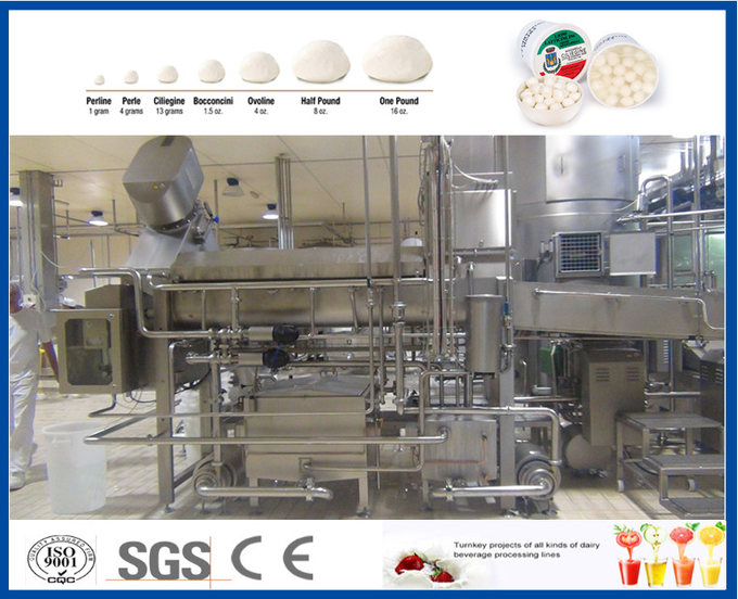 30TPD Cheese Factory Equipment For Cheese Manufacturing